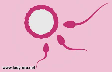 Most Common Infertility Causes